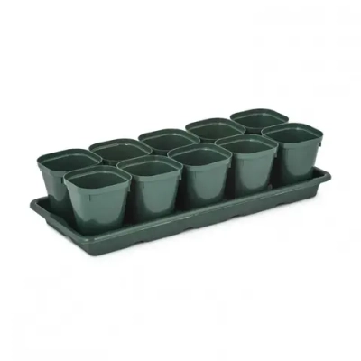 Набор д/рассады (10 стаканов 0,3л)(с поддоном) (комплект 10 шт)