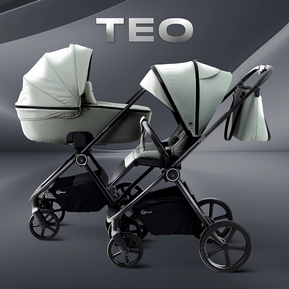 Детская коляска Rant Teo 3 в 1 Sage