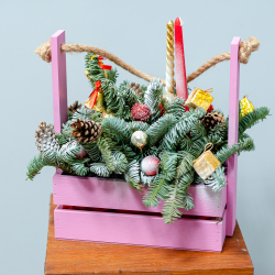 Новогодняя композиция из нобилиса 16