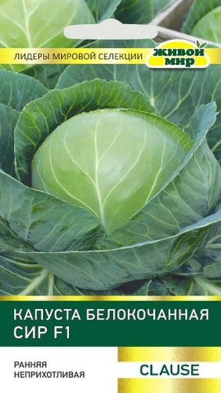 Капуста б/к "ЖМ. Сиp F1" 10шт, Франция.