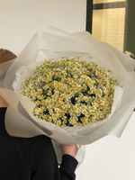 Гранд букет из ромашки
