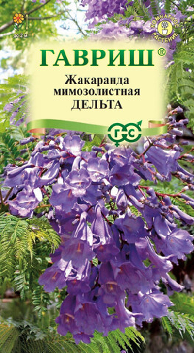 Жакаранда Дельта 3шт Гавриш
