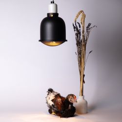 Инфракрасная лампа ЭРА ИКЗ 220-250 R127 E27 для обогрева животных и освещения 250 Вт кратность 1 шт | Инфракрасные лампы