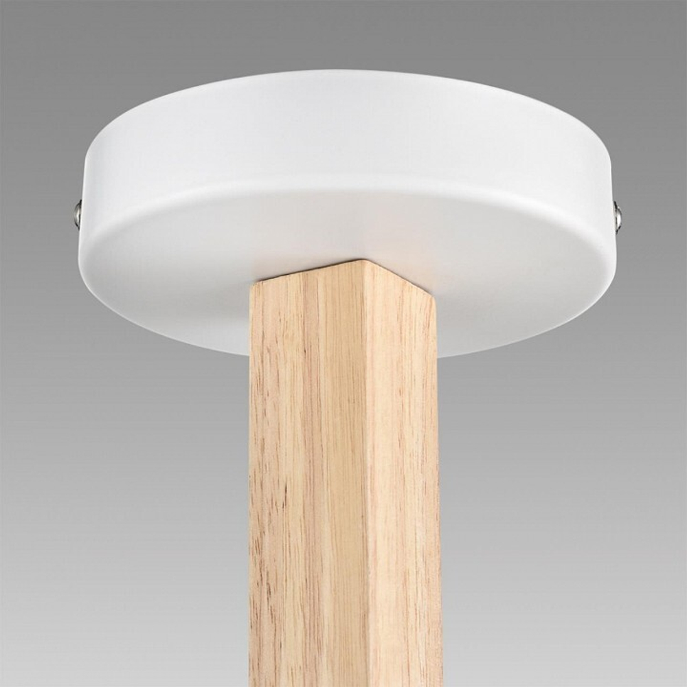 Люстра на штанге Lumion Colange 8095/6C