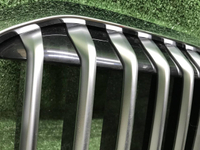 Решетка радиатора BMW X7 G07 (2019-2022)
