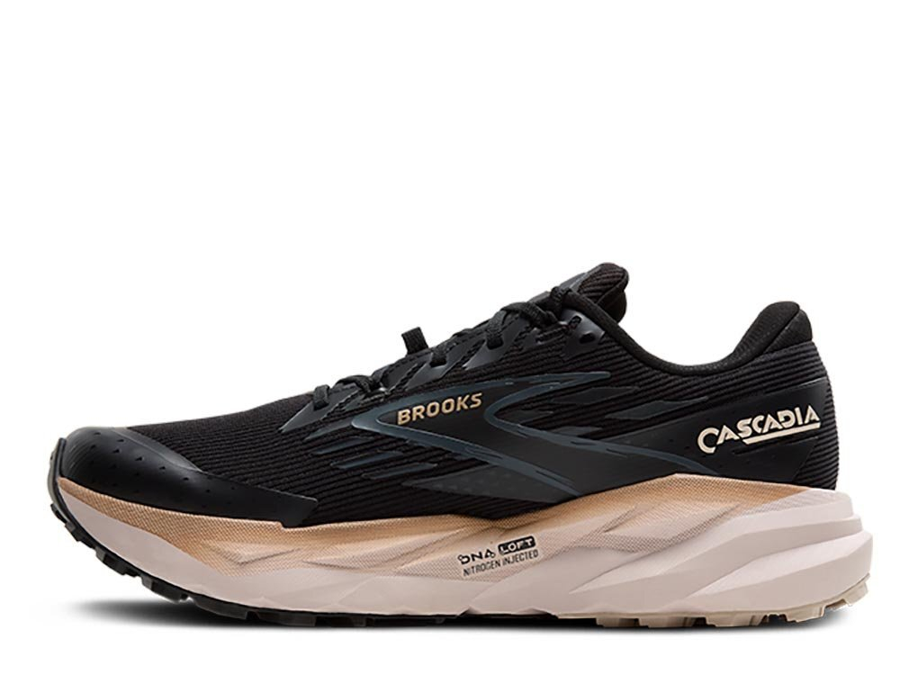 Кроссовки для бега мужские Brooks Cascadia 19 Gore-TEX M черно-бежевые