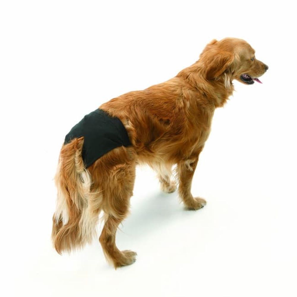 Трусы гигиенические для собак 38-48см черные Savic