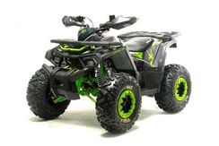 Квадроцикл MOTOLAND Wild X Баланс. вал. (2021 Г.)