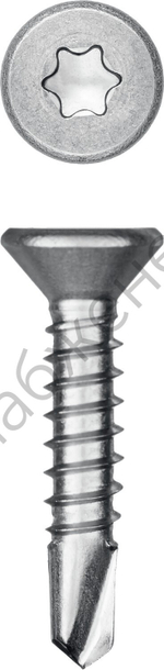 KRAFTOOL DS-C 19 х 3.9 мм, А2, сверло, потай, ТХ15, саморез нержавеющий, 750 шт (300932-39-019)