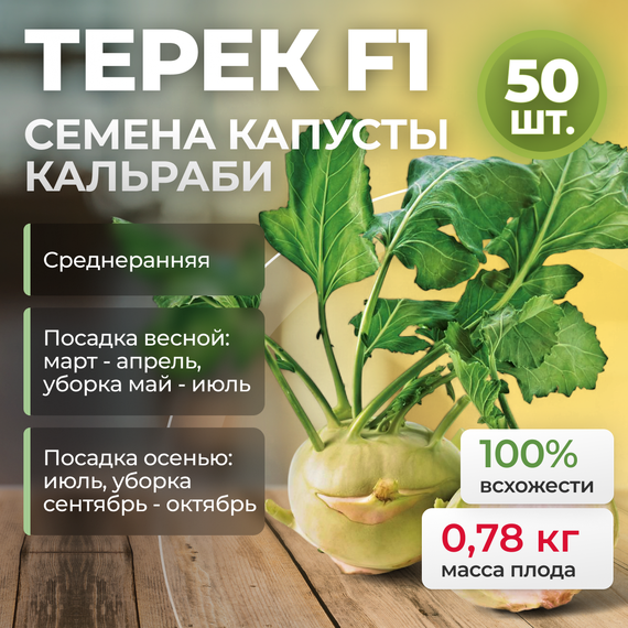 ТЕРЕК F1 семена капусты кольраби (Rijk Zwaan | Alexagro) – фото 5