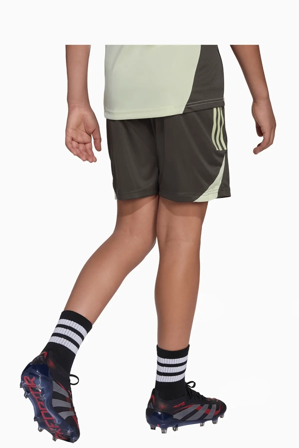 Шорты adidas Real Madrid 25/26 Training Competition Junior - зеленый