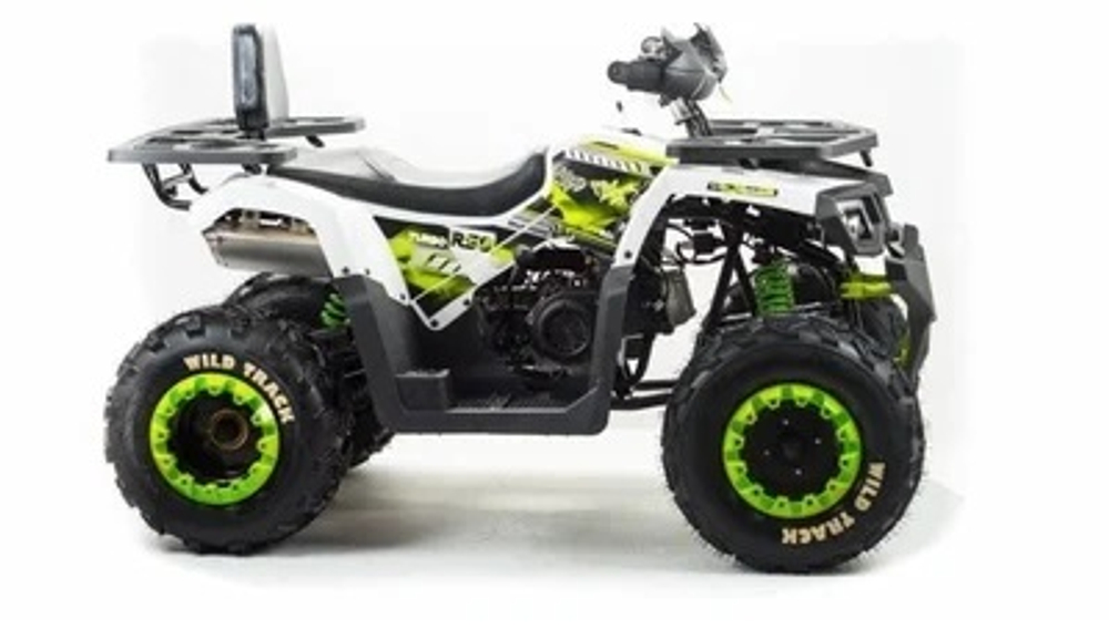 Квадроцикл MOTOLAND 200 WILD TRACK LUX ( БАЛАНС. ВАЛ) (2021 Г.)