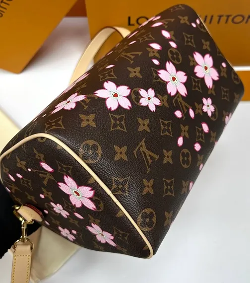 Сумка LOUIS VUITTON х TM Speedy 25, коричневый