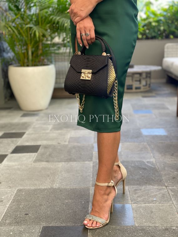 Сумка из кожи питона BG-347