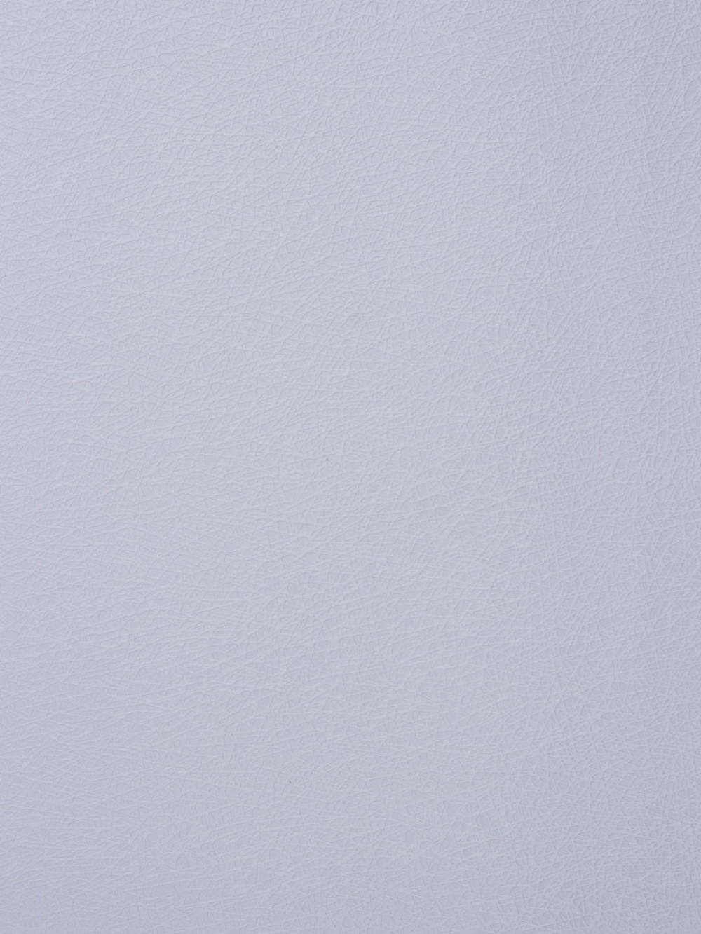 Rasch 1.06m*25 178814 Wallton