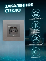 Розетка с заземлением одинарная из стекла с USB и Type-C
