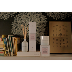 Свеча ароматическая 60ч Ambientair The Olphactory White Insignia Mystique Boughs