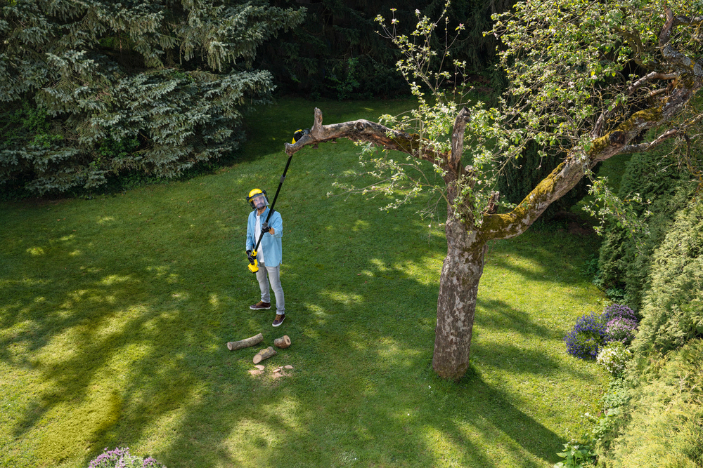 Аккумуляторная цепная пила, высоторез PSW 18-20 Battery