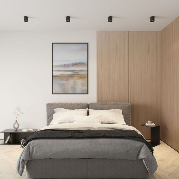 Накладной светильник Denkirs Rodvig DK3090-BK