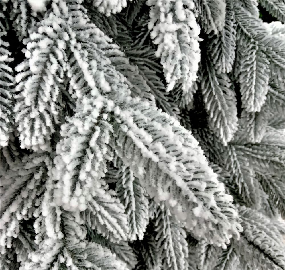 Заснеженная елка «Моника» (Литая хвоя) 270 см / 2,7 м