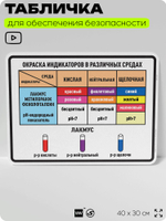 Табличка для обеспечения безопасности "Окраска индикаторов в различных средах", для производства, предприятия, организаций, 40х30 см, Silver Plane x Айдентика Технолоджи