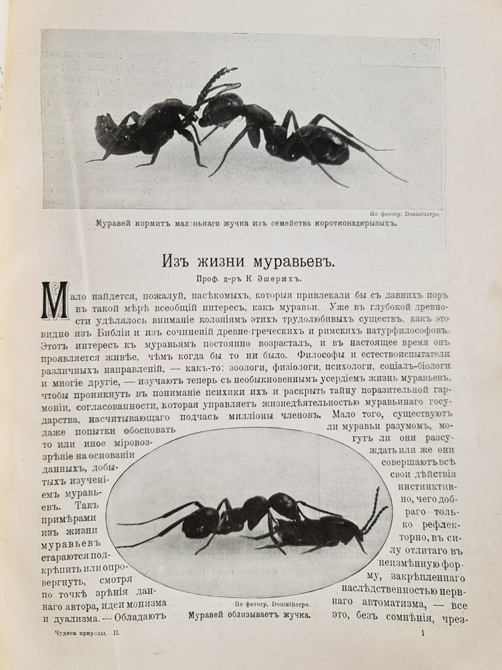 "Чудеса природы. Популярные очерки, посвященный описанию любопытнейших явлений и достопримечательностей трех царств природы. В 2-х томах". В.М.Шимкевич. 1915г. - антикварная книга