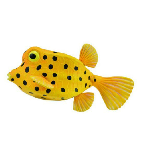 Рыбка-коробка, S