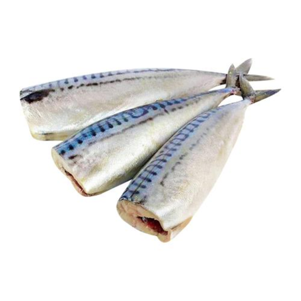 Скумбрия соленая вес (562)