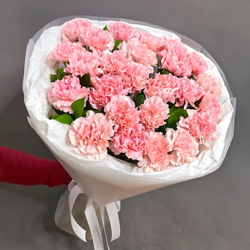 Букет из 25 розовых диантусов в "облачке"