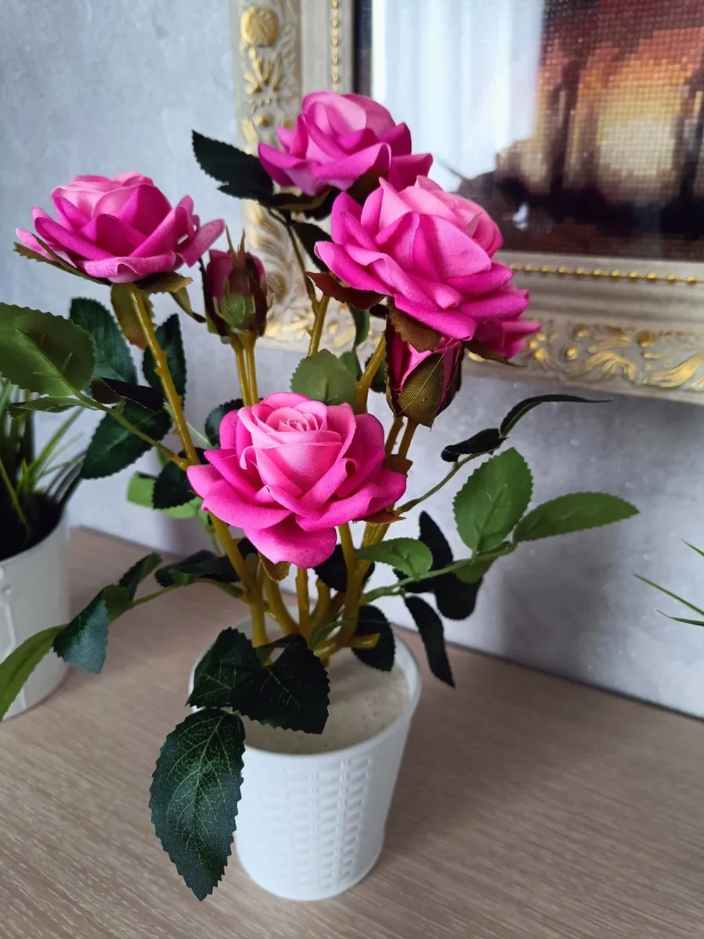 Роза кустовая бархатная, в кашпо.