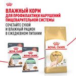 Royal Canin Sphynx Adult Сфинкс Эдалт Корм сухой сбалансированный для взрослых кошек породы Сфинкс от 12 месяцев 10кг