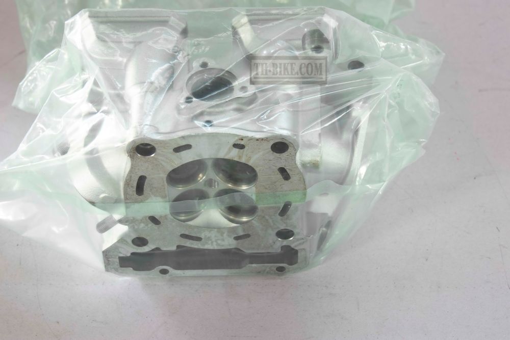 11002-0039. HEAD-ASSY-CYLINDER. Kawasaki KLX250 2009-2013.