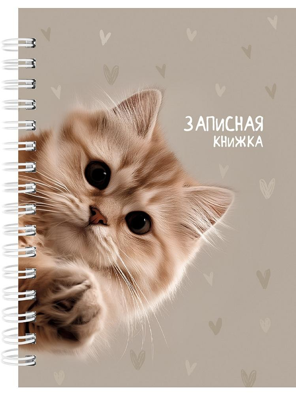 Записная книжка А6 80л. "Забавный котик-3" на гребне, 7БЦ, глянц.ламинирование (Проф-Пресс)