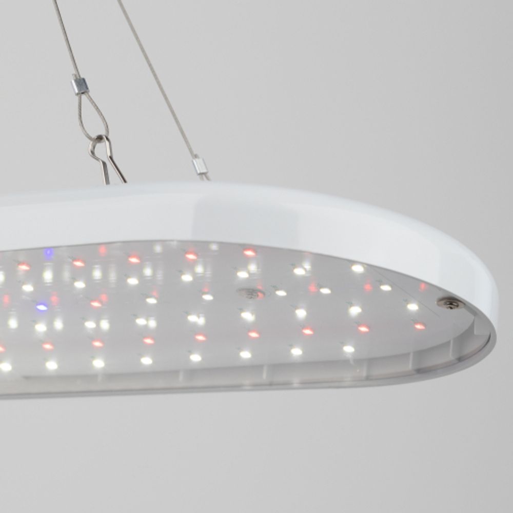 Светильник для растений ЭРА FITO-25W-QLED-FLY подвесной полного спектра 25 Вт