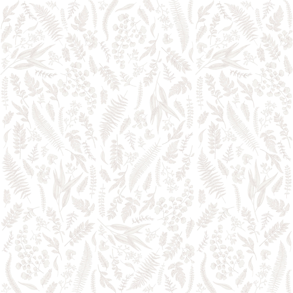 Коллекция Сканди