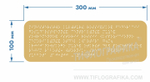 Тактильная табличка Брайлем 100х300 мм на ПВХ 3 мм, полноцветная