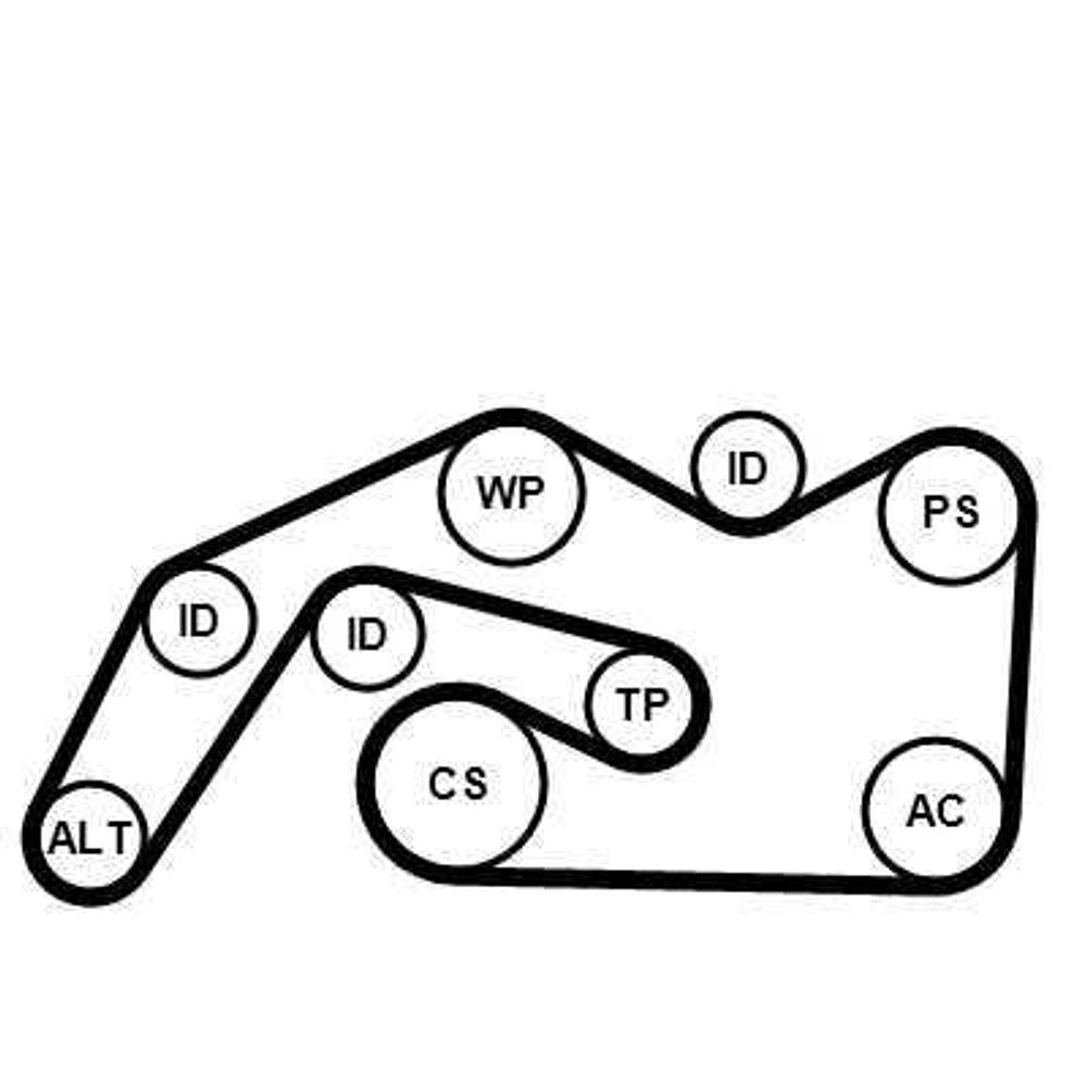 CONTINENTAL CTAM - 6PK2490K1