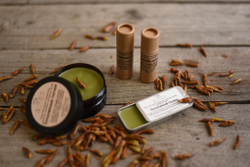 Тополиные почки, заживляющий бальзам