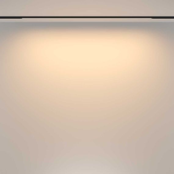 Трековый светильник Maytoni Technical TR173-1-24WTW-B