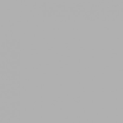 SA 60-12 FOCUS GRAY, бумажный фон 2,72х11м