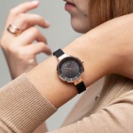 Наручные часы Bering 14631-166