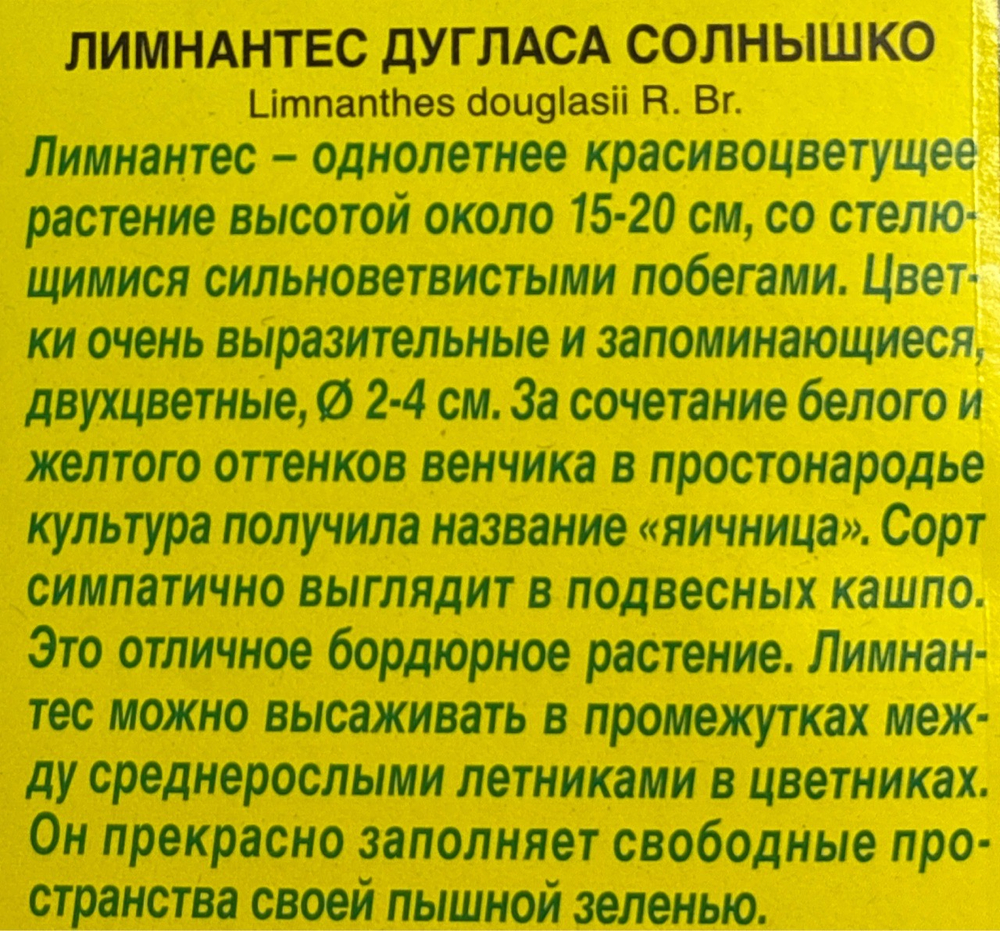 Лимнантес дугласа Солнышко СМЦ-663