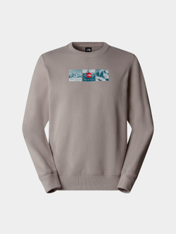 Кофта THE NORTH FACE M CREW EXPEDITION SYSTEM GRAPHIC MOONSTONE GREY