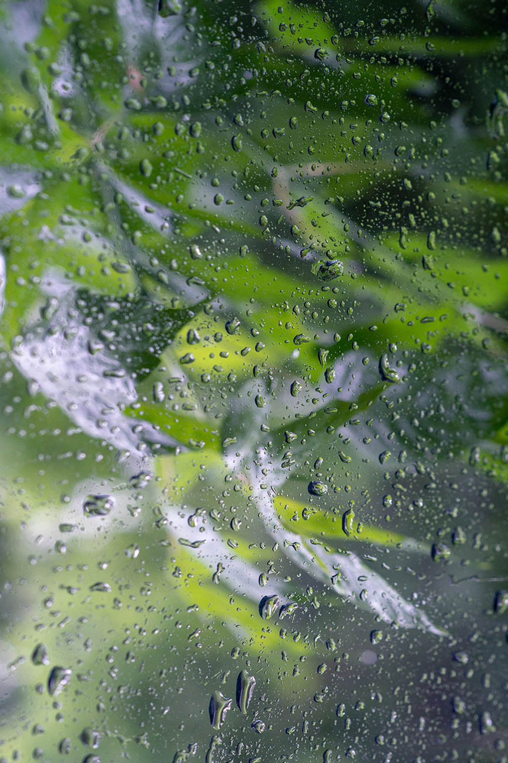 Дизайнерские обои Wall Street Frame-2019