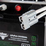 Литий-железо-фосфатный Аккумулятор RuTrike (LiFePo4) 24V60A/H(80A)