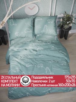 Постельное белье "КОТИКИ (мята)" 2-спальный   наволочки 50х70 2шт Простынь на резинке 160х200 см  Пододеяльник 175х215 см  Сказка сатин