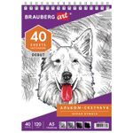 Скетчбук, белая бумага 120г/м2, 145х205мм, 40л, гребень, жёсткая подложка, BRAUBERG ART DEBUT,110988