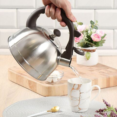 Чайник нерж, 2.5 л, свист, ручк бакелит, с силик покр, Daniks, Бруно, индукц, MSY-066C