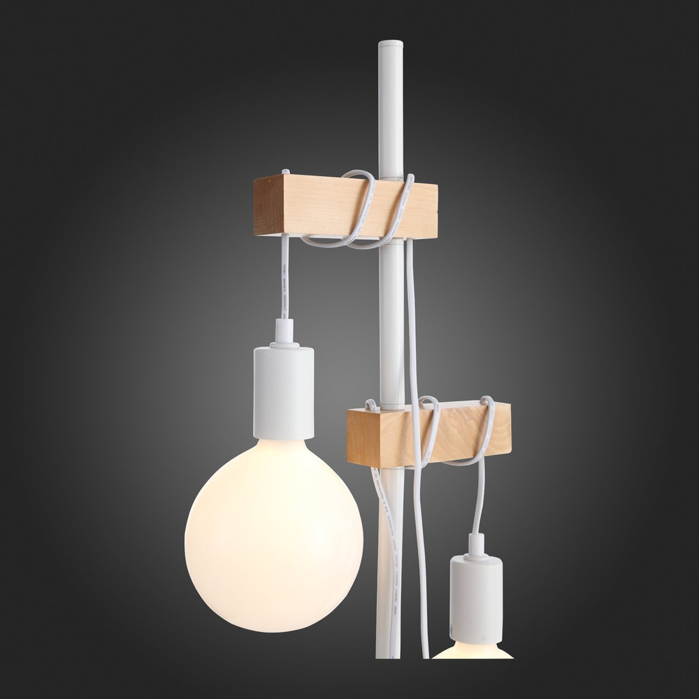 Светильник напольный Evoluce Bagetti SL1142.505.01