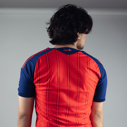 Испания / Домашняя / Игровая